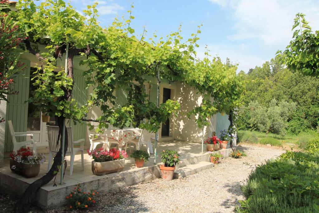a house with a bunch of plants and trees at Clos Christol in Graveson