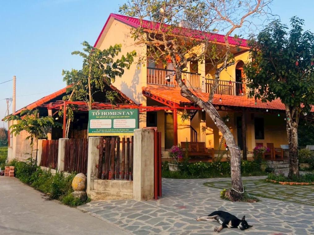 a black cat walking in front of a building at Tổ Homestay in Tân Phú