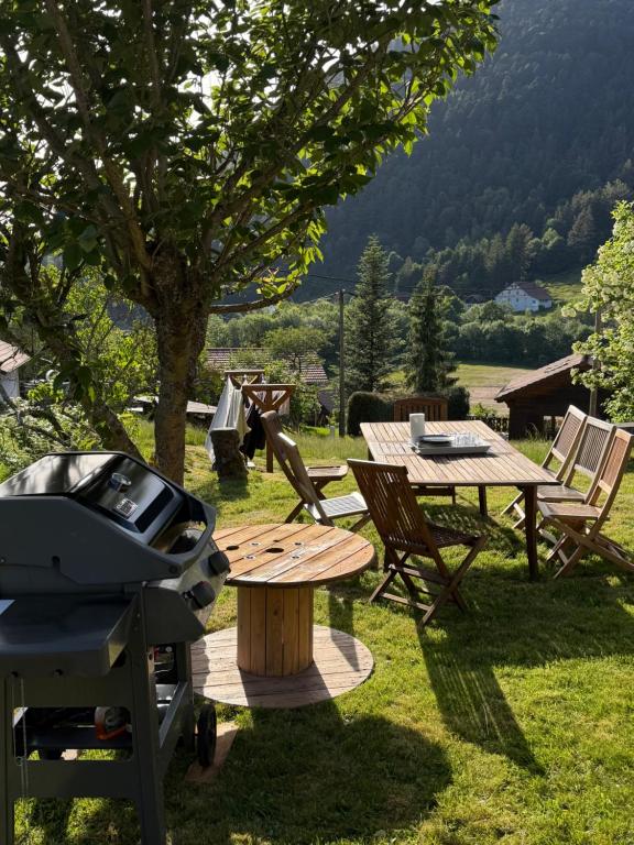 a grill and picnic table in a field with a tree at Le Balcon de Bramont in La Bresse