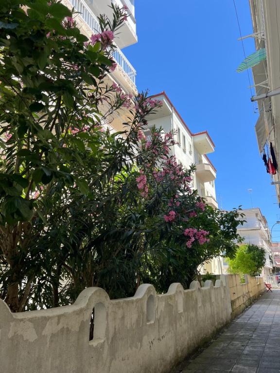 Paralion Apartment in Paralia, Katerinis