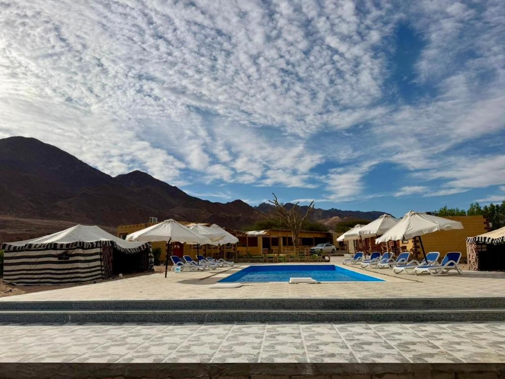 a swimming pool with chairs and umbrellas and a sky at Nuweiba house camp in Nuweiba