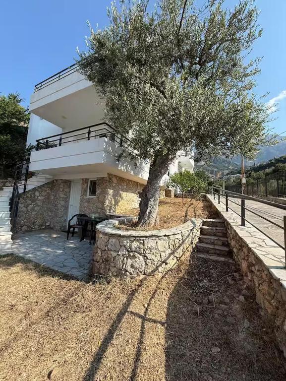 a building with a tree in front of it at Roberts Villa in Dhërmi