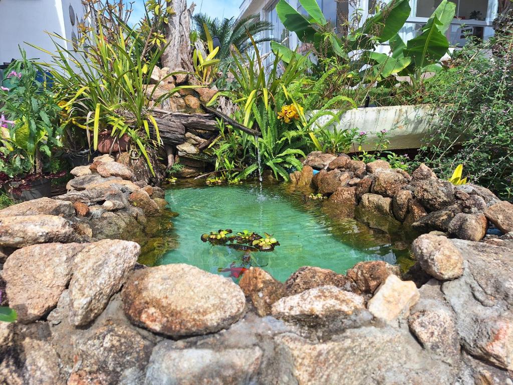 a small pond with rocks in a garden at Pousada Dona Terezinha in Formiga