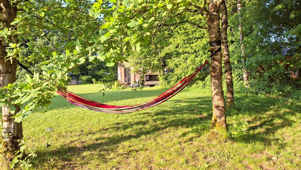 a hammock hanging from a tree in a park at Tiny Gaumaise - Tiny house à Saint-leger in Saint-Léger