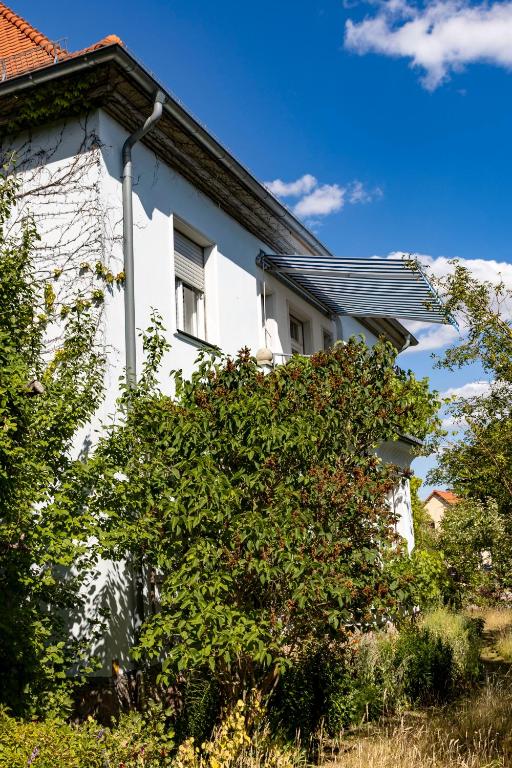a white house with a tree in front of it at Ferienwohnung Fläming in Bad Belzig