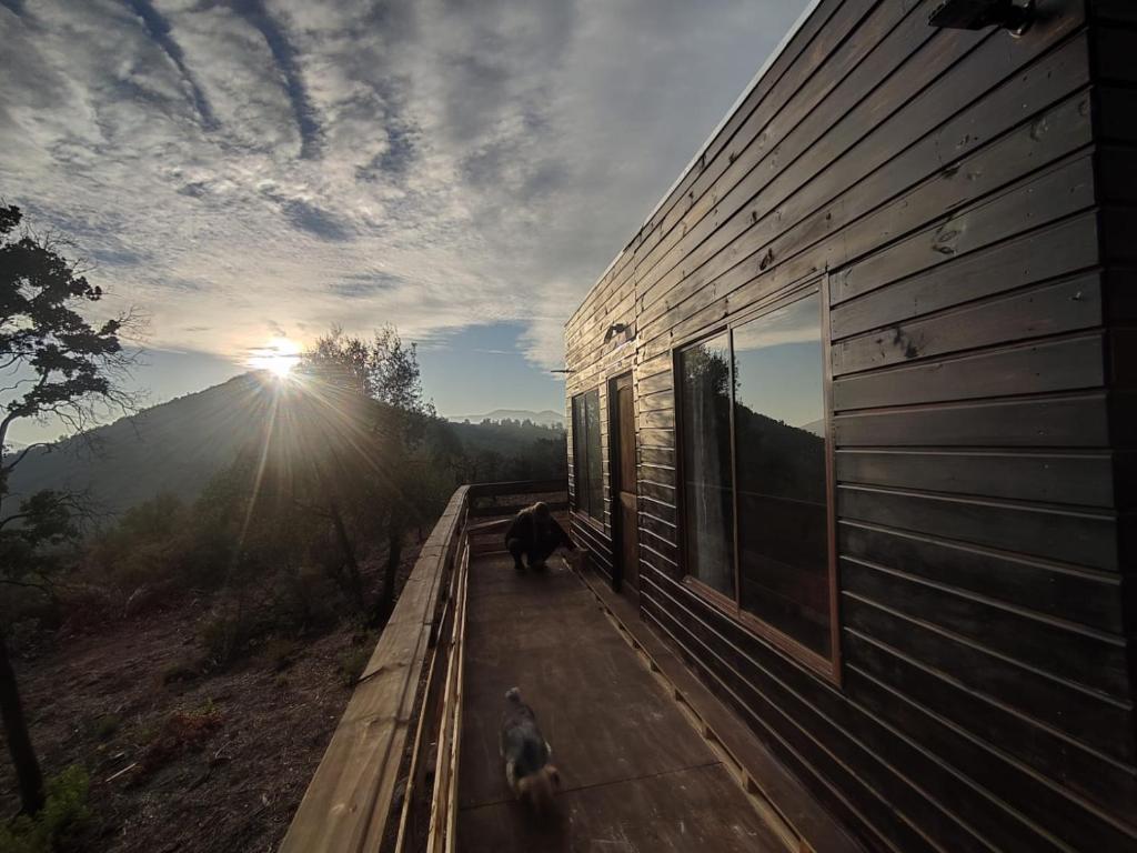 a couple of dogs walking on a wooden walkway next to a building at Cabaña Ecologica Huinganes in Machalí