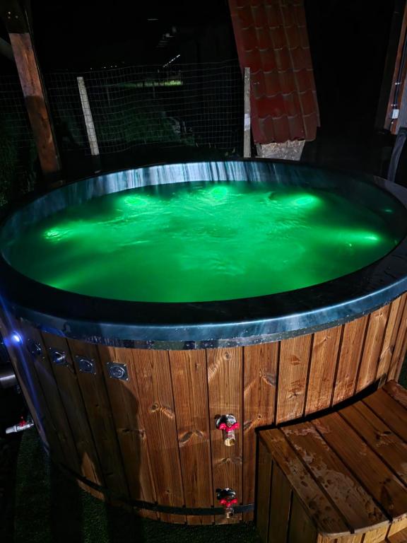 a pool of green water in a wooden tub at Casa Tudor - Râul Mare Retezat in Clopotiva