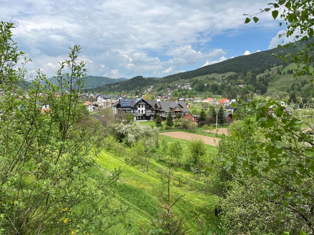 a view of a town with houses and trees at Pensiunea Casa Elvira in Vama