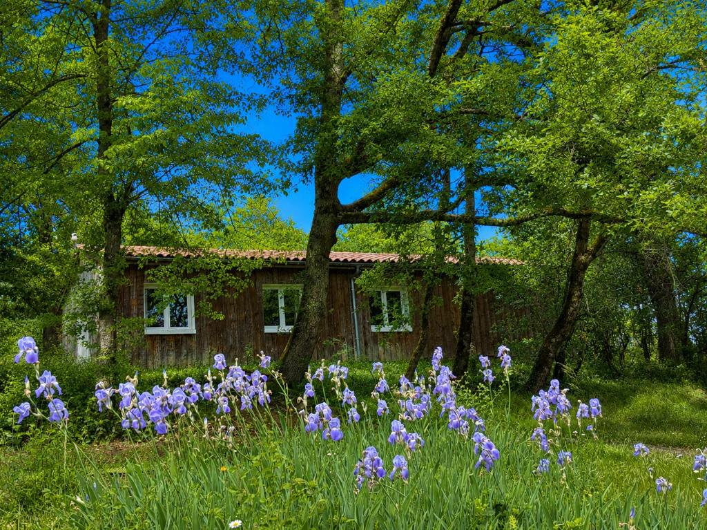 a field of purple flowers in front of a house at La Petite Ferme des Etoiles in Mauroux