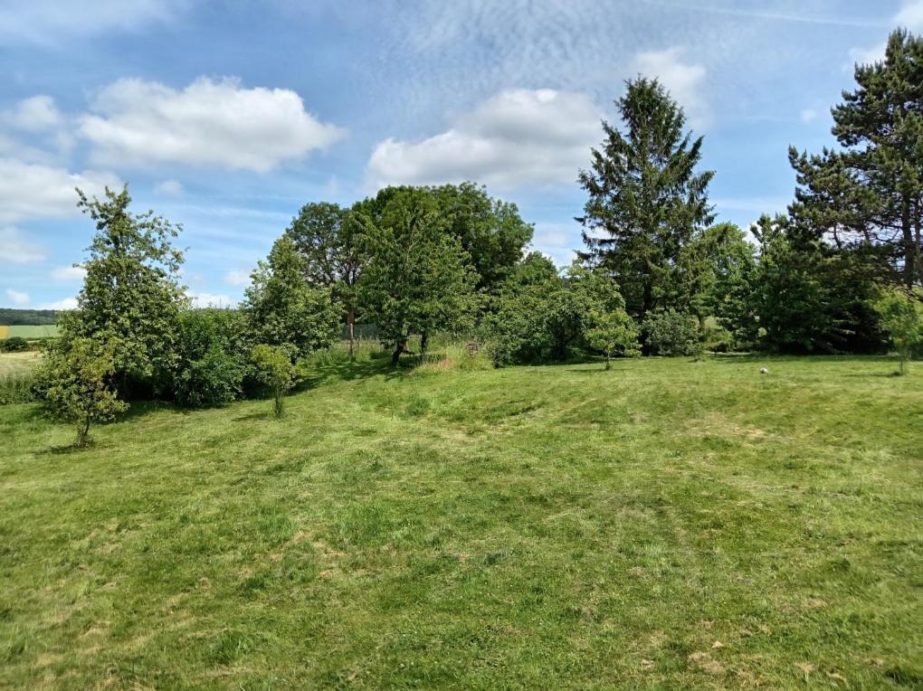 an open field with trees in the distance at Roulotte Anaîs in Grandcourt