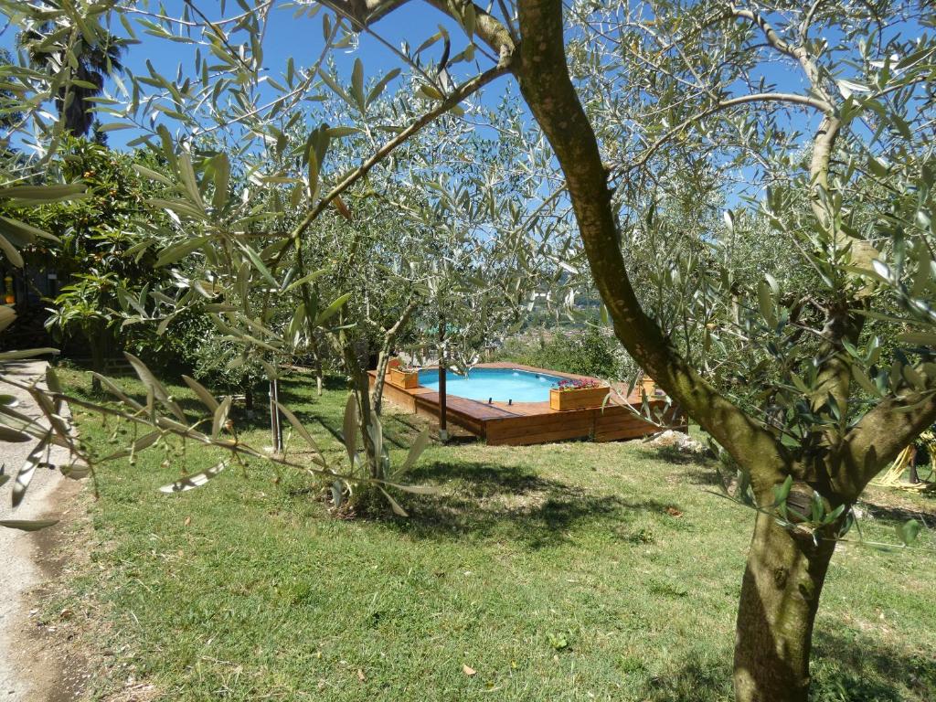 a pool in the middle of a yard with trees at Scappo in Umbria, L'antico casale in Narni