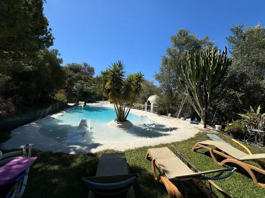 a pool with chairs and a palm tree in a yard at Cabaña Cala Blanca II in Málaga