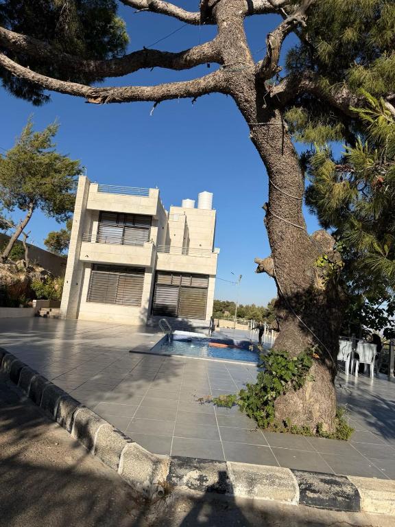 ein Gebäude mit einem Baum davor in der Unterkunft The Pine Tree Chalet in Gerasa