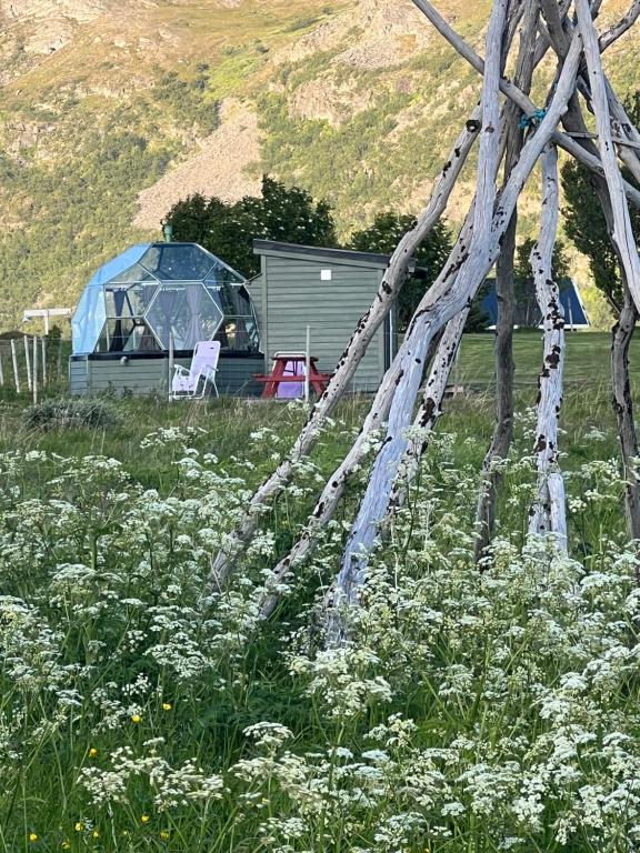 a tent and a chair in a field of flowers at Glassiglo for 2 in Russenes