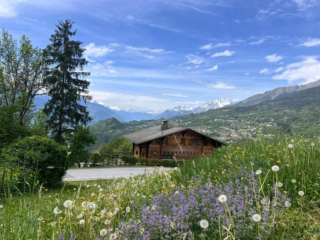 a wooden cabin in the mountains with a field of flowers at Himalayan vibes in Icogne