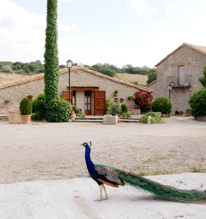 Casa Rural Torre Gargallo, Morella – Precios actualizados 2022