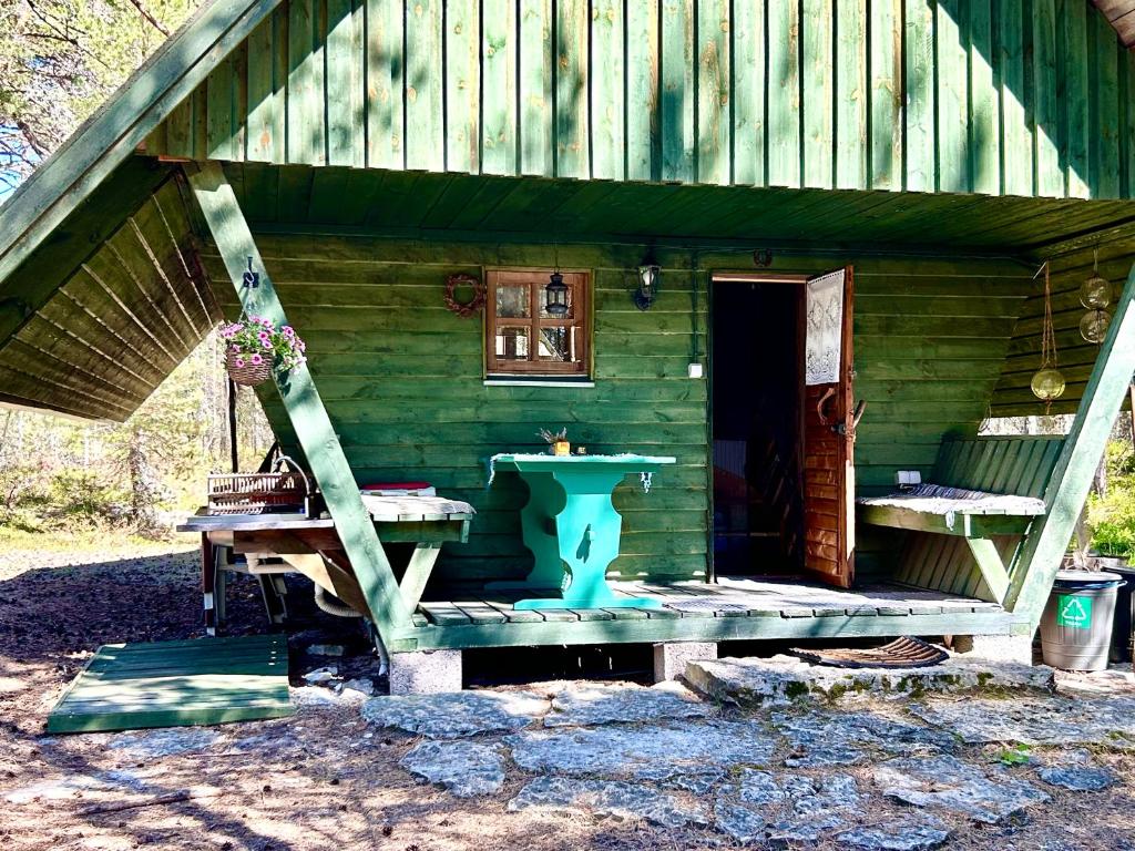 a green cabin with a porch and a sink at Merejuula Puhkemaja in Noarootsi