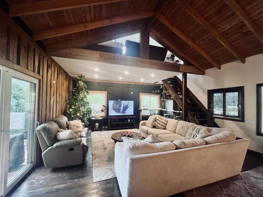 a living room with two couches and a television at Oceana Suites Panguipulli in Panguipulli