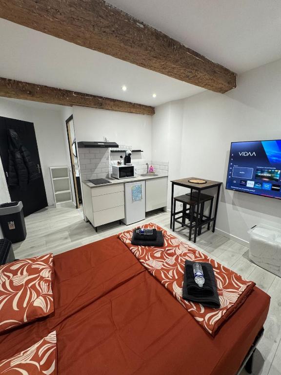 a large living room with a couch and a kitchen at Les Perles de Limoux -Studio Centre Climatiseur Wifi Parking Gratuit in Limoux