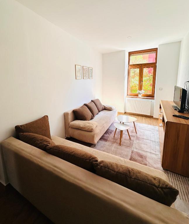 a living room with a couch and a table at Apartmány v Žitě in Třeboň