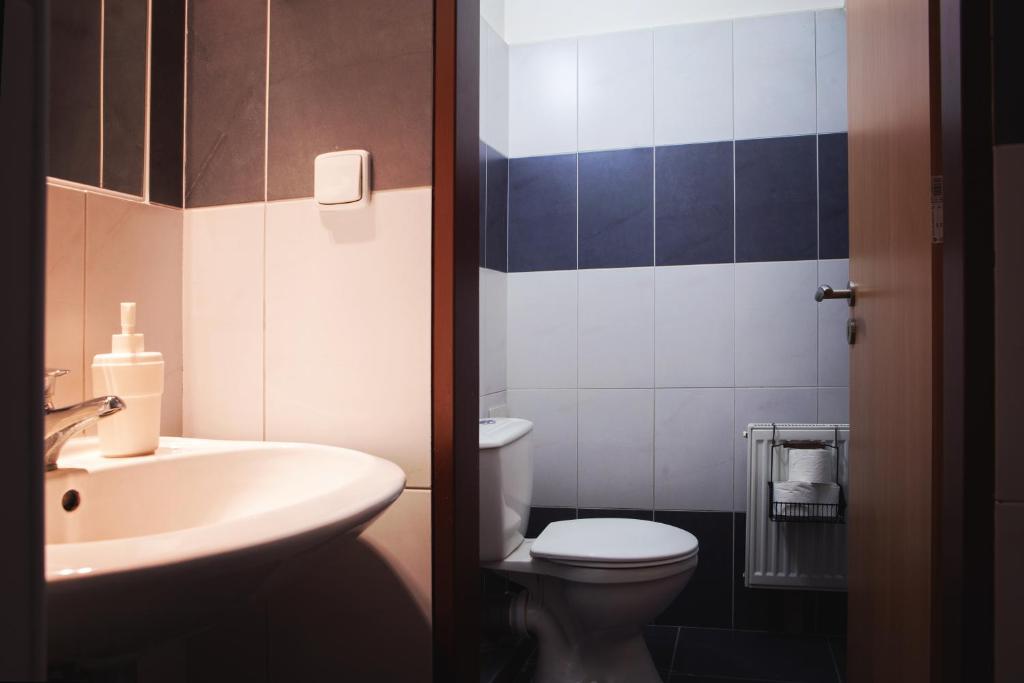 Internesto Brno - 16