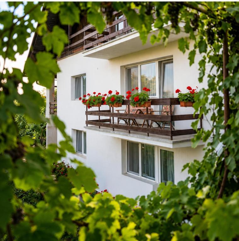a white building with red flowers on a balcony at Cazare Vila Maria in Curtea de Argeş