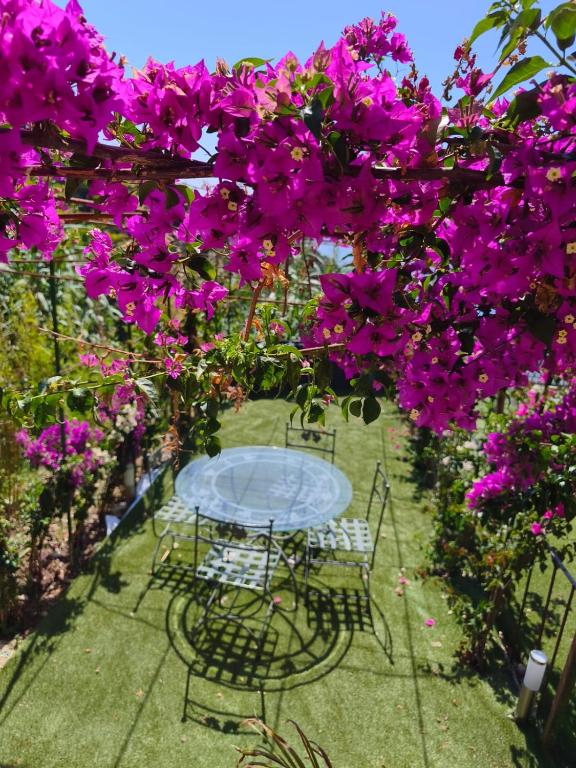 a table and chairs under a bunch of purple flowers at Maison vue mer a 5 min de MONACO in Roquebrune-Cap-Martin