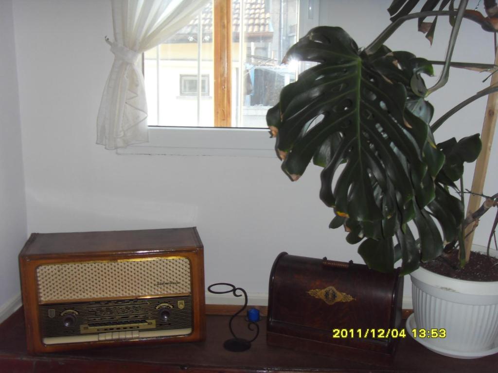 Fotografie z fotogalerie ubytování Guest House Vodolei v destinaci Kotel