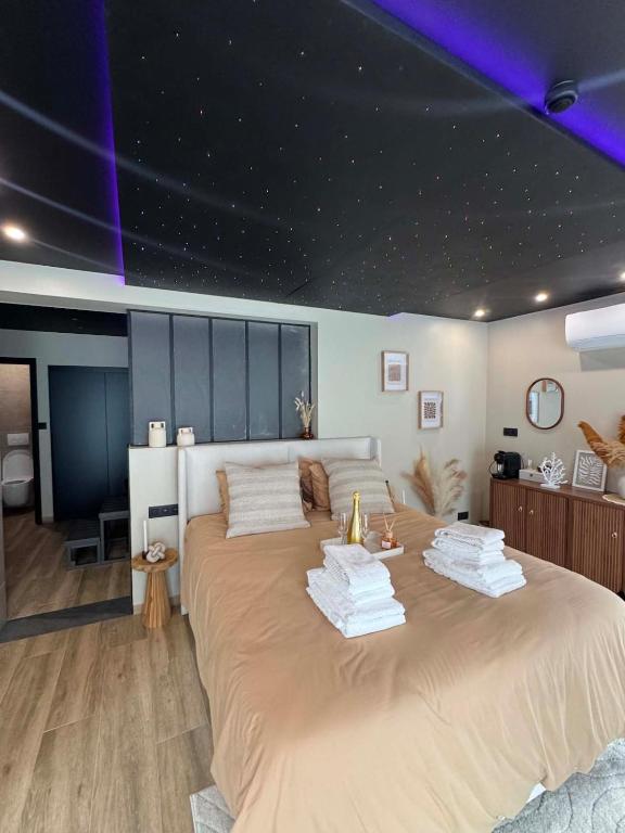 a bedroom with a large bed with a purple ceiling at L'annexe étoilée in Couvin