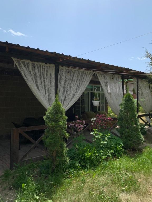 a house with a curtain and plants in the yard at Rest House in Cholpon-Ata