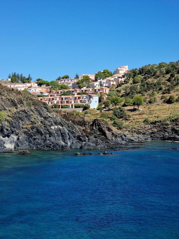 a group of houses on a hill next to a body of water at L'oasis bleu in Cerbère