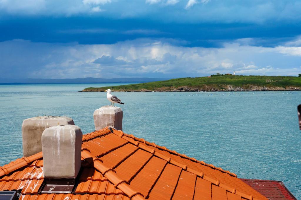 a bird sitting on the roof of a boat at Къща за гости Сирената in Sozopol