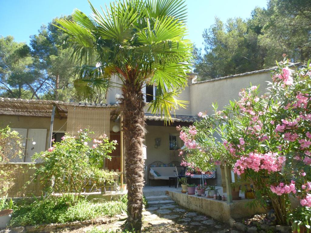 uma palmeira no quintal de uma casa em Shanti House Luberon em Cheval-Blanc