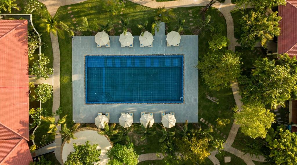 an overhead view of a swimming pool with chairs and trees at Habana Angkor Resort in Siem Reap