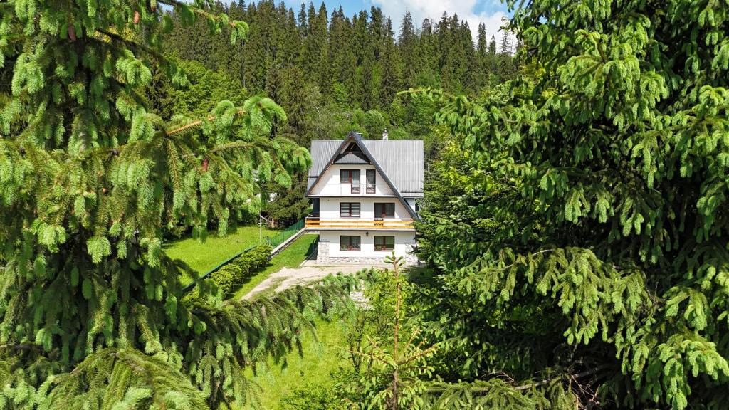 a house in the middle of a forest with trees at Villa Poronianka in Poronin