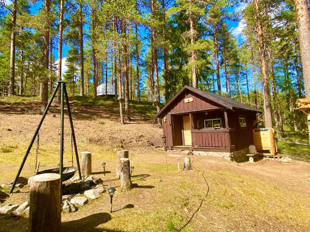 eine kleine Hütte mitten in einem Wald in der Unterkunft Beaver Cabin in Mora