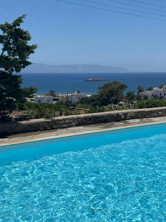 a large swimming pool with a view of the ocean at Delta Apartment with Sea View and Pool in Chrissi Akti