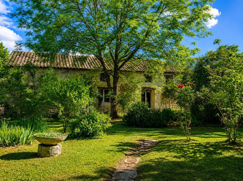 an old stone house with a tree in the yard at Les instants du lot in Trespoux-Rassiels