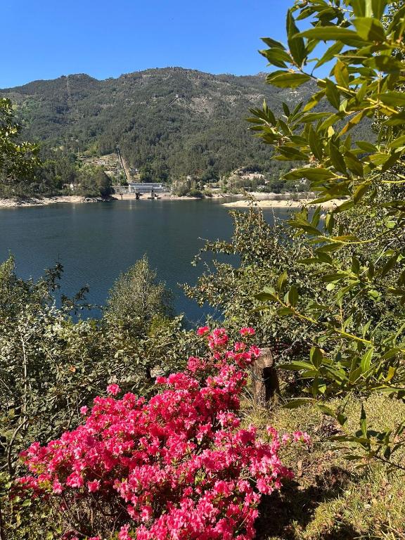 a view of a body of water with pink flowers at Lake House Gerês in Admeus