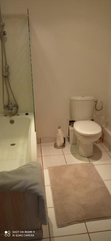 a bathroom with a toilet and a bath tub at Les Ouilerres in Mervent