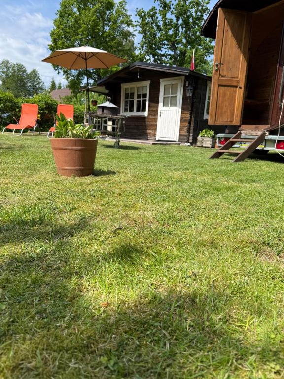 a house with an umbrella and a potted plant in the yard at Bungalo in Jūrmala