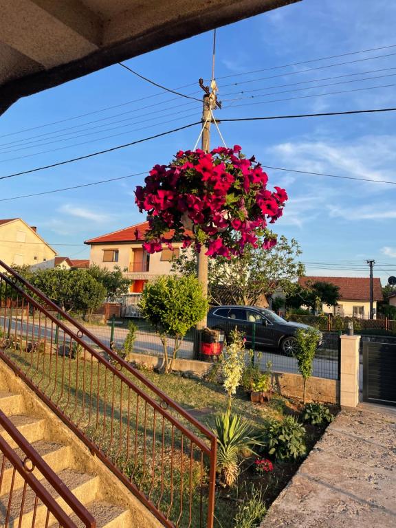 a hanging basket of flowers on a fence at DAS Apartmani Bileća in Bileća