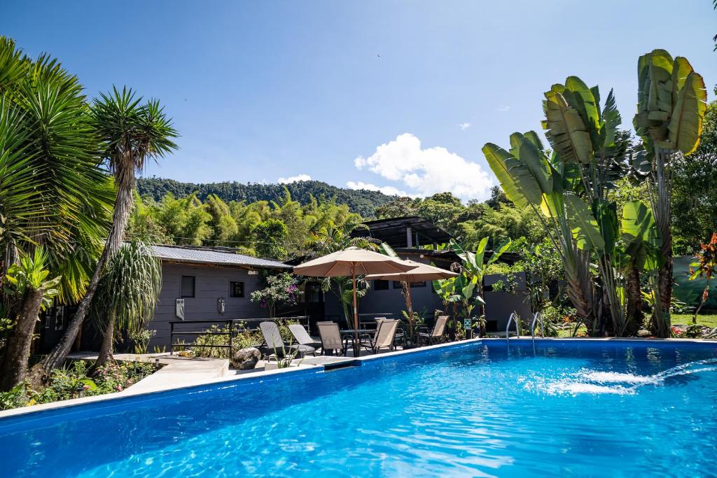 a swimming pool in front of a house with palm trees at La Bicok EcoLodge in Mindo