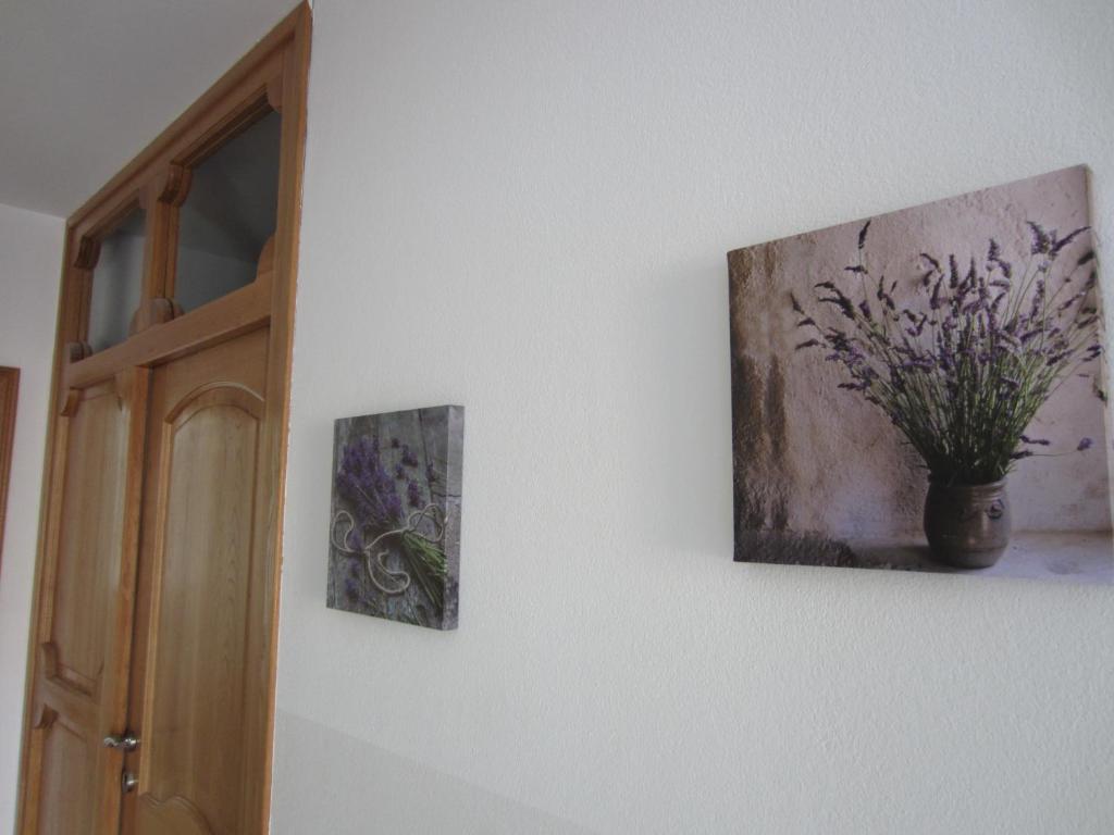 Zdjęcie z galerii obiektu Apartments Matkovic w Hvarze