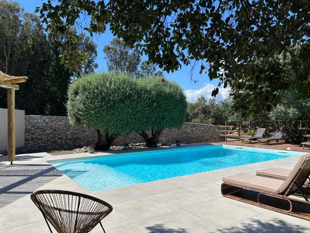 a swimming pool with a chair and a tree at Résidence Alba in Bonifacio