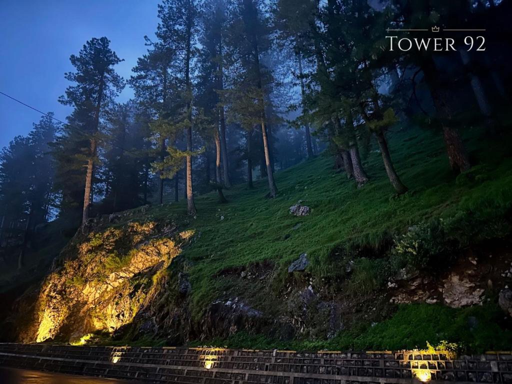 a grassy hill with trees on top of it at Tower 92 - Hotel in Ghora