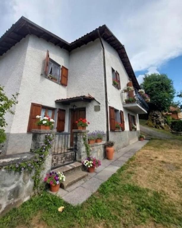 a house with potted plants on the front of it at Casa Corbella in Magnano