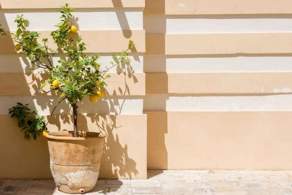 Fotografie z fotogalerie ubytování Villa Raffaella v destinaci Santa Cesarea Terme