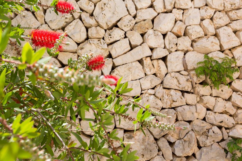 Fotografie z fotogalerie ubytování Villa Raffaella v destinaci Santa Cesarea Terme