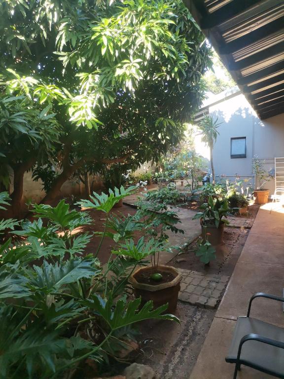 a garden with a lot of trees and plants at My Serenity Guesthouse in Mokopane
